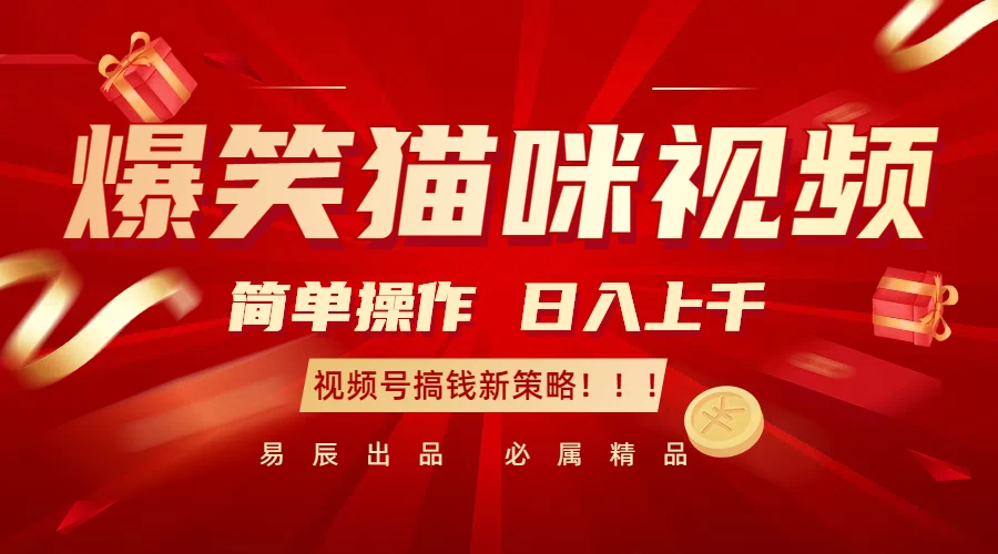 爆笑猫咪视频：简单操作，日入过千，视频号搞钱新策略！好创网-专注优质VIP网课 网络创业落地实操课程资源分享 – 每天更新_高质量项目输出好创网