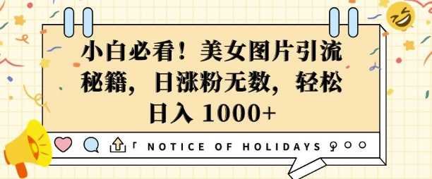 小白必看，美女图片引流秘籍，日涨粉无数，轻松日入几张【揭秘】好创网-专注优质VIP网课 网络创业落地实操课程资源分享 – 每天更新_高质量项目输出好创网