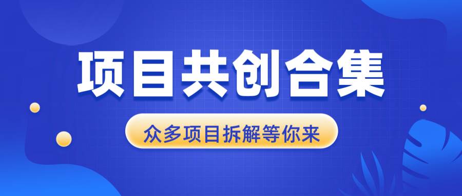 （13778期）项目共创合集，从0-1全过程拆解，让你迅速找到适合自已的项目好创网-专注优质VIP网课 网络创业落地实操课程资源分享 – 每天更新_高质量项目输出好创网