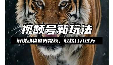 利用动物世界解说视频，赚分成计划收益，轻松月入过W，操作简单【揭秘】好创网-专注优质VIP网课 网络创业落地实操课程资源分享 – 每天更新_高质量项目输出好创网