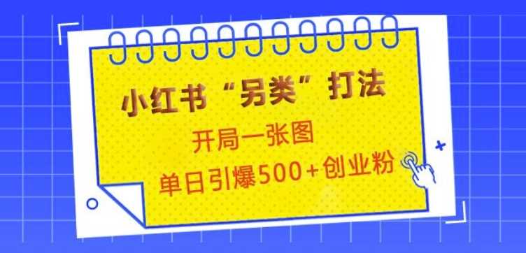 小红书“另类”打法，开局一张图，单日引爆500+精准创业粉【揭秘】好创网-专注优质VIP网课 网络创业落地实操课程资源分享 – 每天更新_高质量项目输出好创网