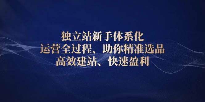 （13914期）独立站新手体系化 运营全过程，助你精准选品、高效建站、快速盈利好创网-专注优质VIP网课 网络创业落地实操课程资源分享 – 每天更新_高质量项目输出好创网