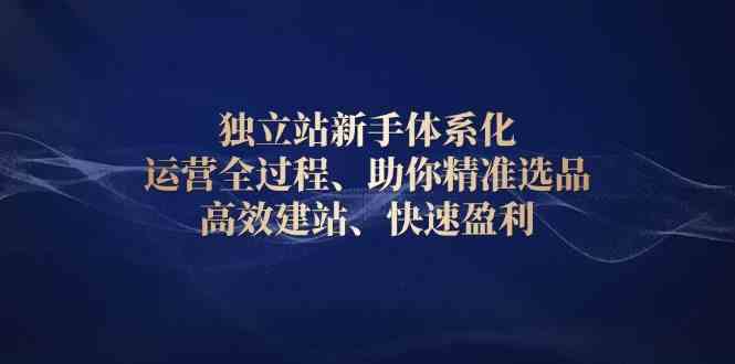 独立站新手体系化 运营全过程，助你精准选品、高效建站、快速盈利好创网-专注优质VIP网课 网络创业落地实操课程资源分享 – 每天更新_高质量项目输出好创网
