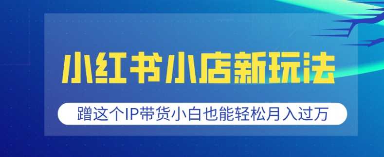 小红书小店新玩法，蹭这个IP带货，小白也能轻松月入过W【揭秘】好创网-专注优质VIP网课 网络创业落地实操课程资源分享 – 每天更新_高质量项目输出好创网