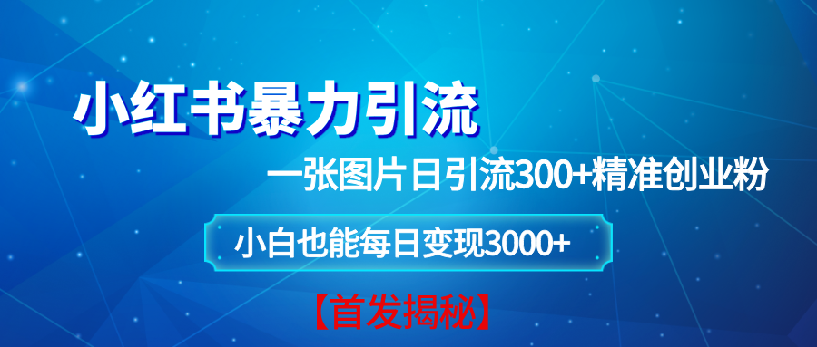（13935期）小红书暴力引流法，一张图片日引 300+精准创业粉，每日稳定变现 3000+【揭秘】好创网-专注优质VIP网课 网络创业落地实操课程资源分享 – 每天更新_高质量项目输出好创网