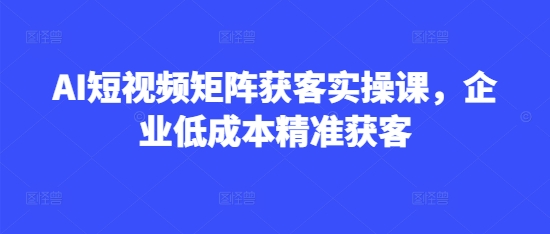 AI短视频矩阵获客实操课，企业低成本精准获客好创网-专注优质VIP网课 网络创业落地实操课程资源分享 – 每天更新_高质量项目输出好创网