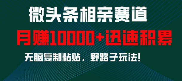 微头条相亲赛道，迅速积累，无脑复制粘贴，野路子玩法，月入1w好创网-专注优质VIP网课 网络创业落地实操课程资源分享 – 每天更新_高质量项目输出好创网
