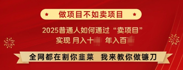 必看，做项目不如卖项目，2025普通人如何通过“卖项目”实现月入十个，年入百个好创网-专注优质VIP网课 网络创业落地实操课程资源分享 – 每天更新_高质量项目输出好创网