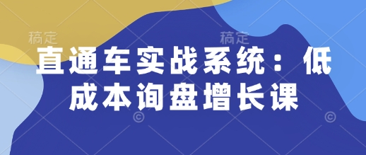 直通车实战系统：低成本询盘增长课，让个人通过技能实现升职加薪，让企业低成本获客，订单源源不断好创网-专注优质VIP网课 网络创业落地实操课程资源分享 – 每天更新_高质量项目输出好创网