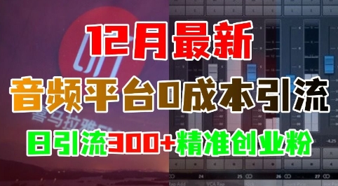 12月最新：音频平台0成本引流，日引流300+精准创业粉好创网-专注优质VIP网课 网络创业落地实操课程资源分享 – 每天更新_高质量项目输出好创网