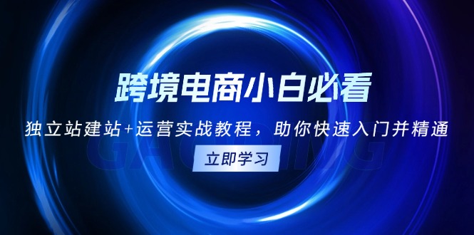 跨境电商小白必看！独立站建站+运营实战教程，助你快速入门并精通好创网-专注优质VIP网课 网络创业落地实操课程资源分享 – 每天更新_高质量项目输出好创网