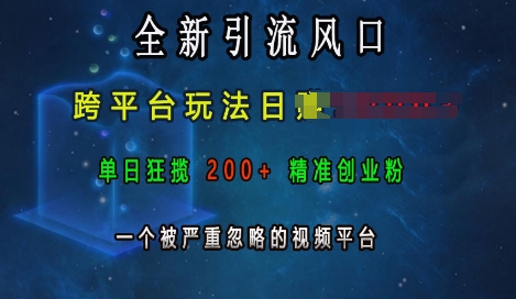 全新引流风口，跨平台玩法日入上k，单日狂揽200+精准创业粉，一个被严重忽略的视频平台好创网-专注优质VIP网课 网络创业落地实操课程资源分享 – 每天更新_高质量项目输出好创网