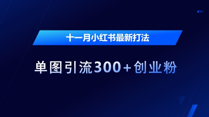 十一月小红书最新打法，单图引流300+创业粉【揭秘】好创网-专注优质VIP网课 网络创业落地实操课程资源分享 – 每天更新_高质量项目输出好创网