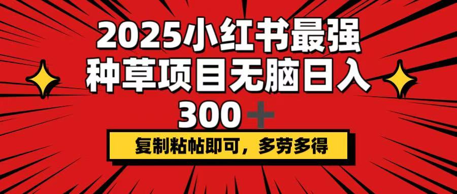 2025小红书最强种草项目，无脑日入300+，复制粘帖即可，多劳多得好创网-专注优质VIP网课 网络创业落地实操课程资源分享 – 每天更新_高质量项目输出好创网