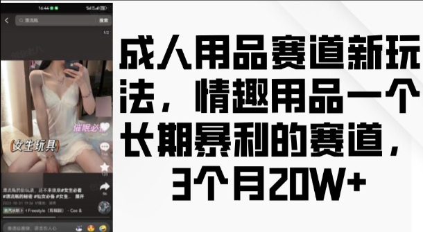 成人用品赛道新玩法，情趣用品一个长期暴利的赛道，3个月收益20个【揭秘】好创网-专注优质VIP网课 网络创业落地实操课程资源分享 – 每天更新_高质量项目输出好创网