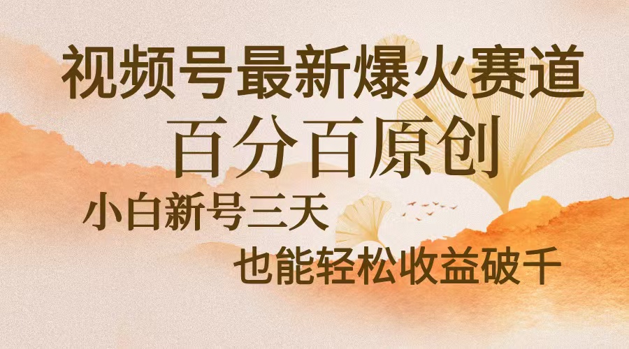 视频号最新爆火赛道，中老年粉深信不疑，百分百原创，新号三天收益轻松…好创网-专注优质VIP网课 网络创业落地实操课程资源分享 – 每天更新_高质量项目输出好创网