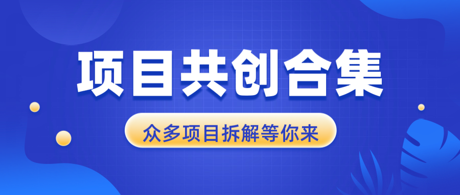 项目共创合集，从0-1全过程拆解，让你迅速找到适合自已的项目好创网-专注优质VIP网课 网络创业落地实操课程资源分享 – 每天更新_高质量项目输出好创网