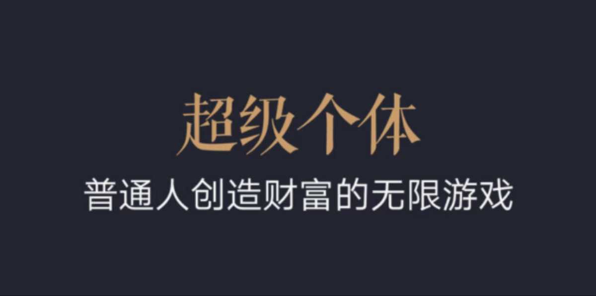 超级个体：2024-2025翻盘指南，普通人创造财富的无限游戏好创网-专注优质VIP网课 网络创业落地实操课程资源分享 – 每天更新_高质量项目输出好创网