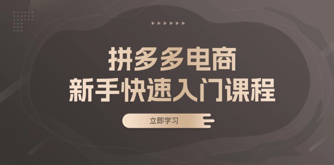 拼多多电商新手快速入门课程：涵盖基础、实战与选款，助力小白轻松上手好创网-专注优质VIP网课 网络创业落地实操课程资源分享 – 每天更新_高质量项目输出好创网